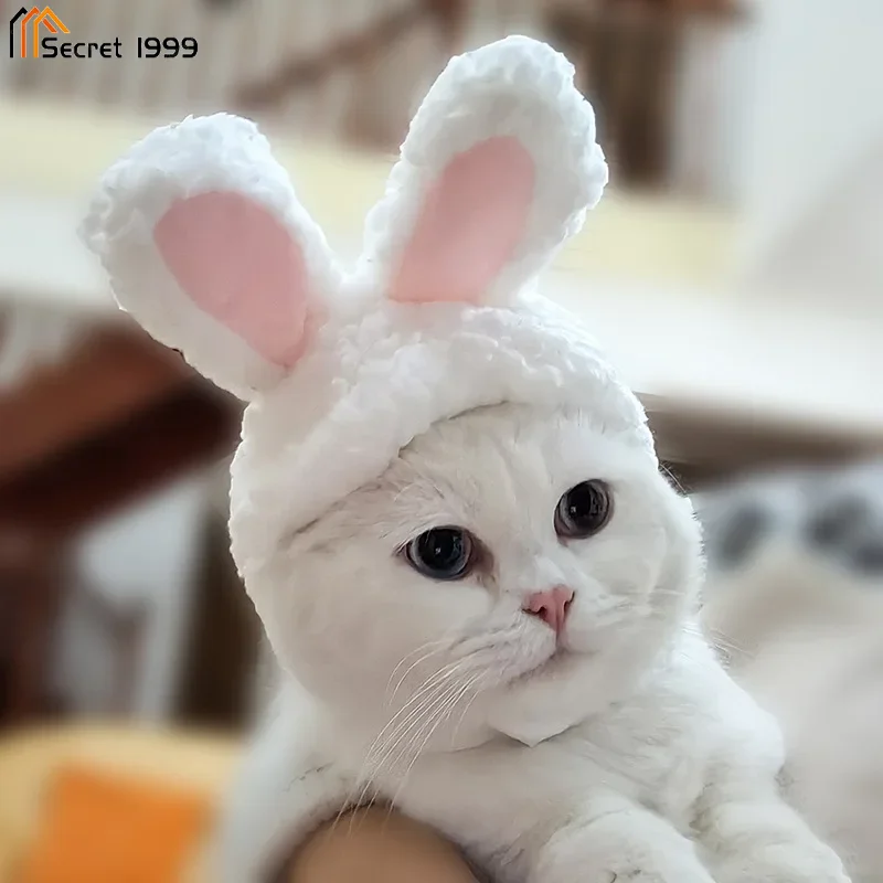 Cat and Rabbit Headgear, Dog Teddy Bear Transformed into Headgear, Garfield Cat and Rabbit Ears, Internet Famous Pet Hat