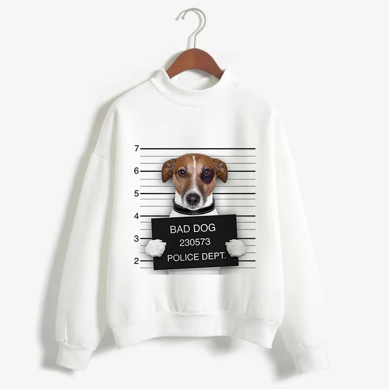Hot Autumn and Winter Panda Print Long Sleeve Round Neck Plus Fleece Hoodie Europe and The United States Sweatshirt Clothes