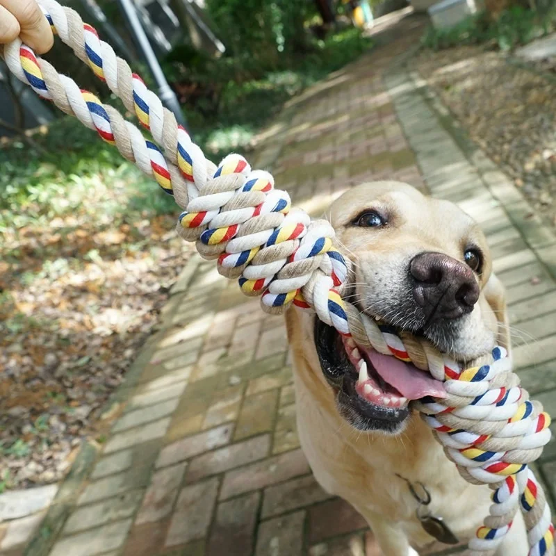 Pets Toys Bite Molar Tooth Rope Dog Toy for Medium Large Dogs Indestructible Toy Dog Antistress Fidget Toy Dog Toothbrush