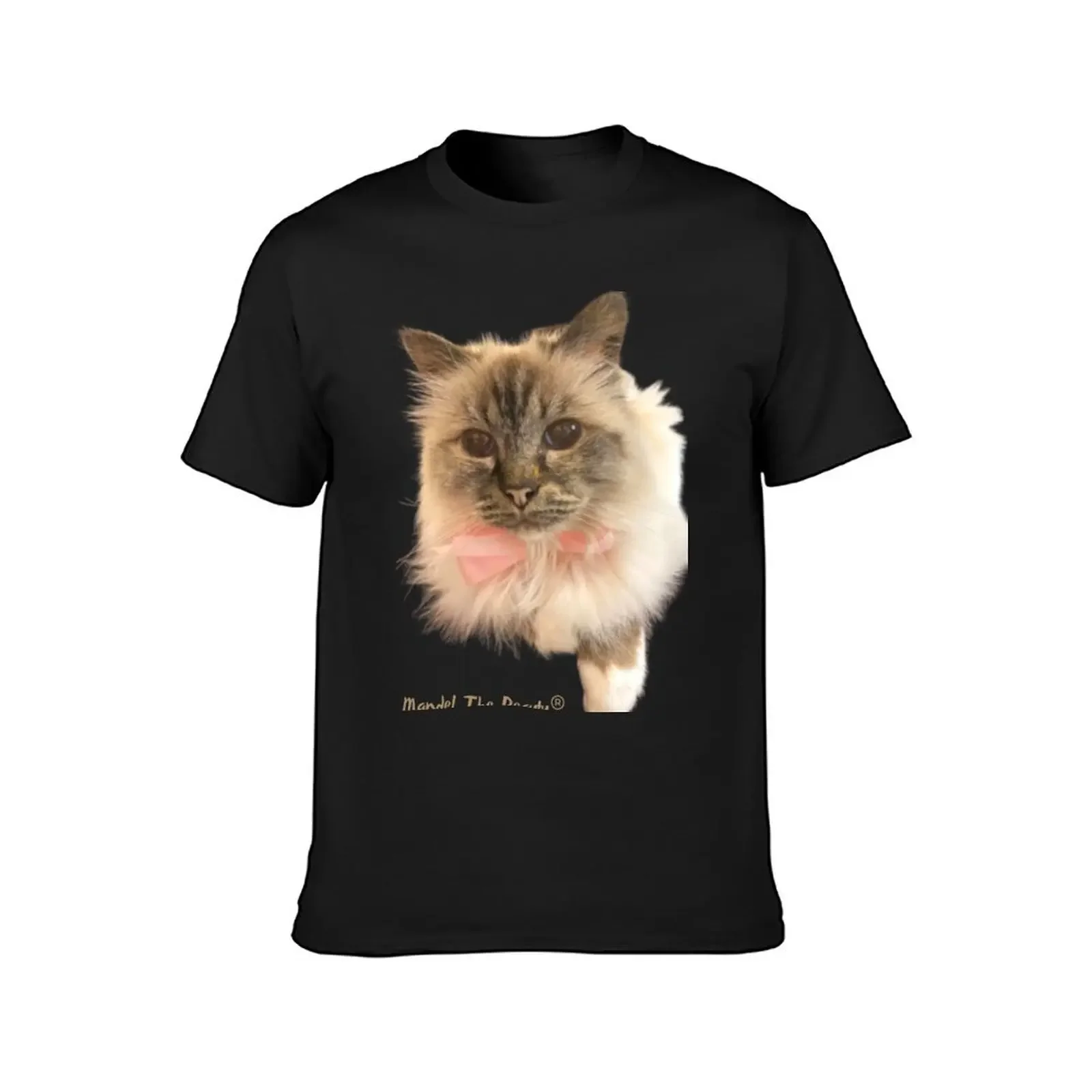 Birman Cat MandelTheBeauty T-Shirt blanks graphic t shirt vintage blacks mens fashion