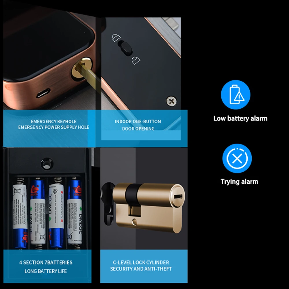 RAYKUBE F005 IP65 Waterproof TT Lock Electronic Smart Door Lock With Fingerprint/Smart Card/Password/Key/APP Unlock