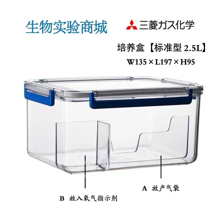Contenitore per coltura anaerobica con scatola anaerobica sigillata da 2,5 litri
