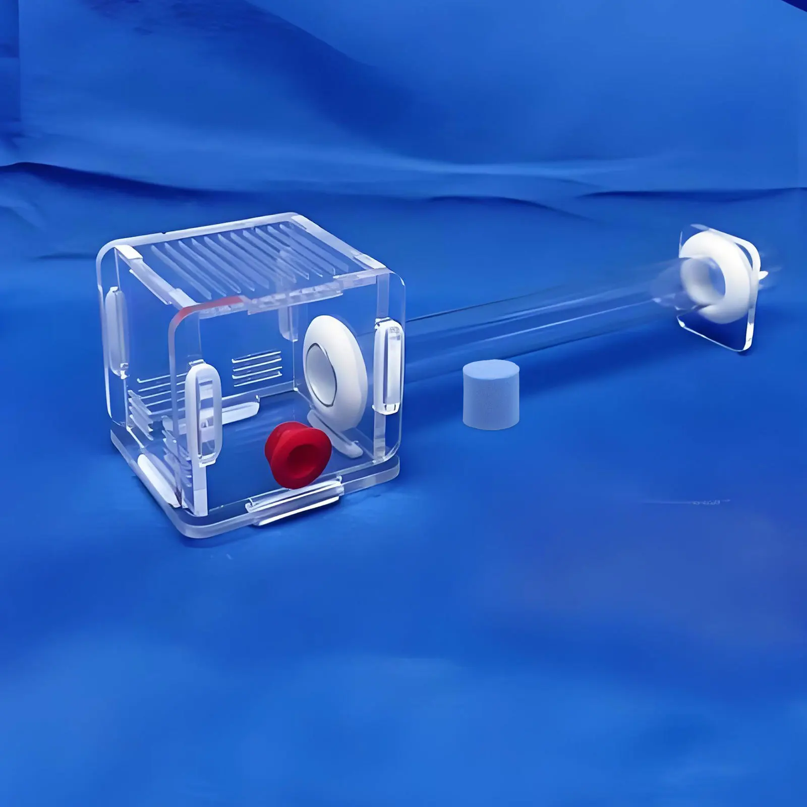 

50 pcs Ant Habitat Sponge Plugs For Test Tube Colony Housing Round Hole Stopper Moisture Feeding Kit Water Block Tube Tools