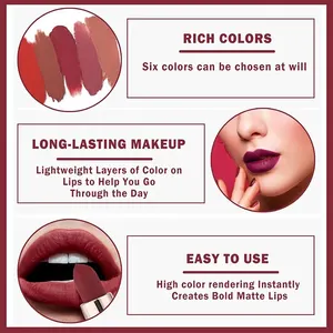 Hohe Pigmentierung, Samt, wasserdichtes, langfristiges Make-up, kosmetische Lippen 10 Hauptverkäufe des Großhandelslippenstifts - №5
