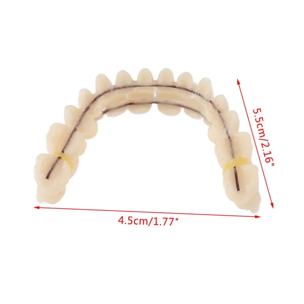12×28 Pcs/Pair Simulation Denture Model Double Row Plastic False Teeth Dental Teaching Material for Medical Training Practice
