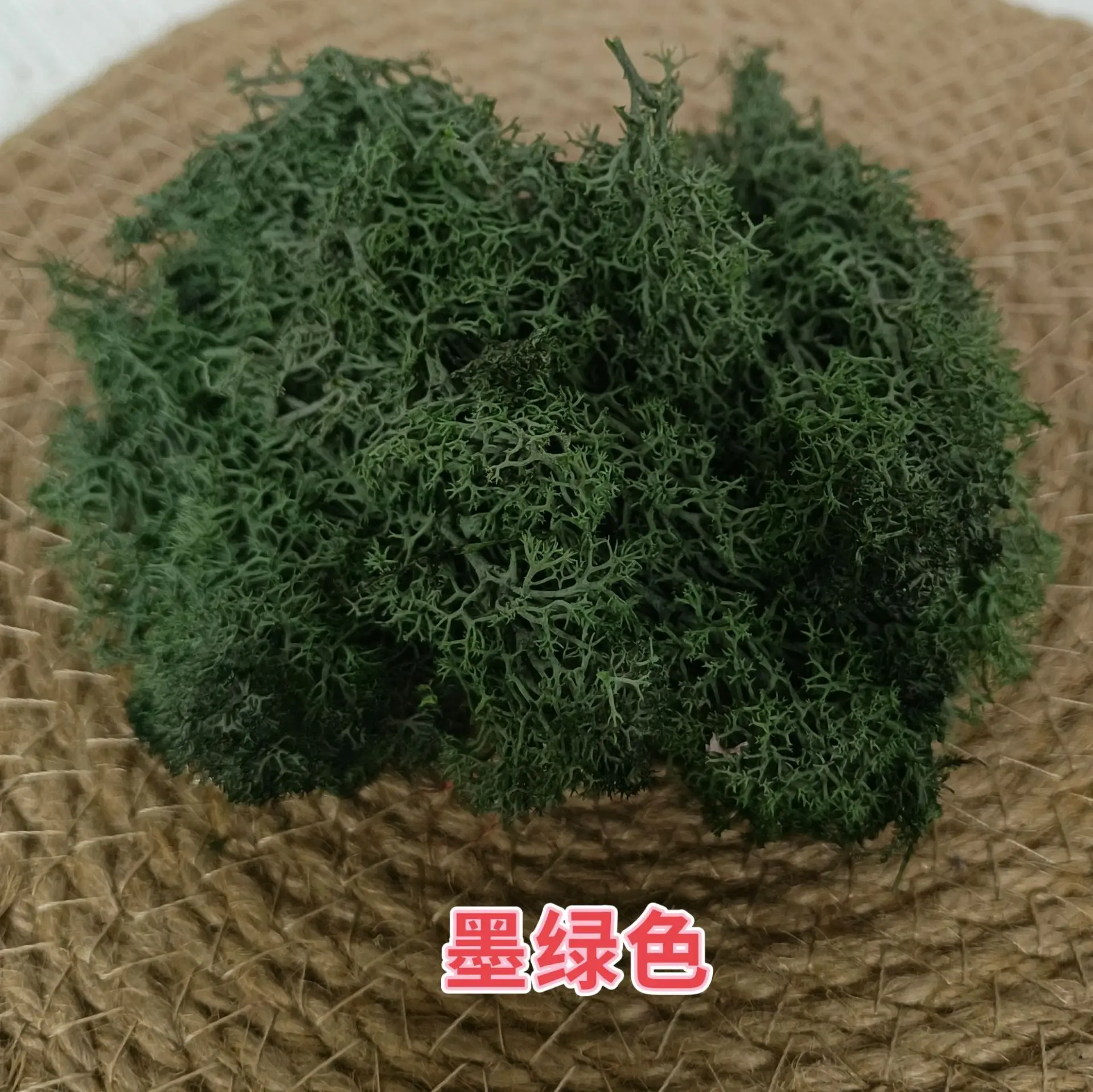 10 gr/beutel Simulation Mini Moos Pflanzen Material für Sand Tisch Landschaft Layout DIY Modell Kit Diorama Zubehör – Detail 9