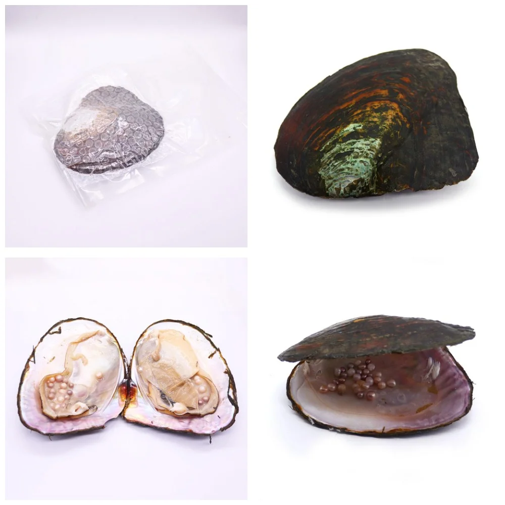 

Vacuum-packed Natural Freshwater-cultured Large River Mussels 1 Pc with Various Shape of Pearl Bead Handmade Fashion Jewelry
