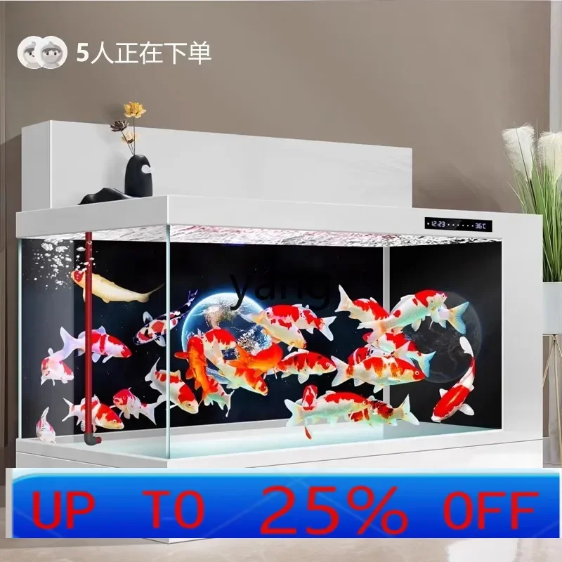 

LTT Koi Ground Tank Double Filter Fish Tank Living Room Household Large Ecological Water Free