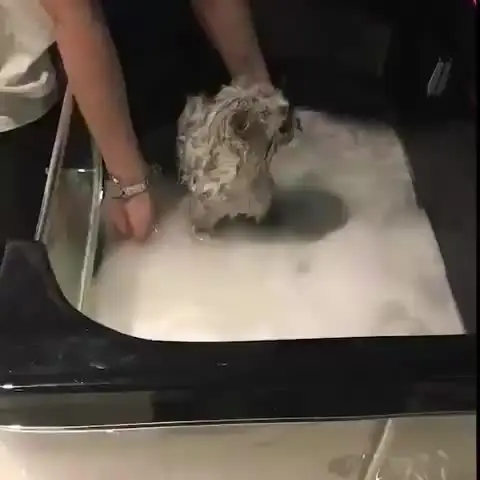 pet groomer machine for  bathtub  and family usage