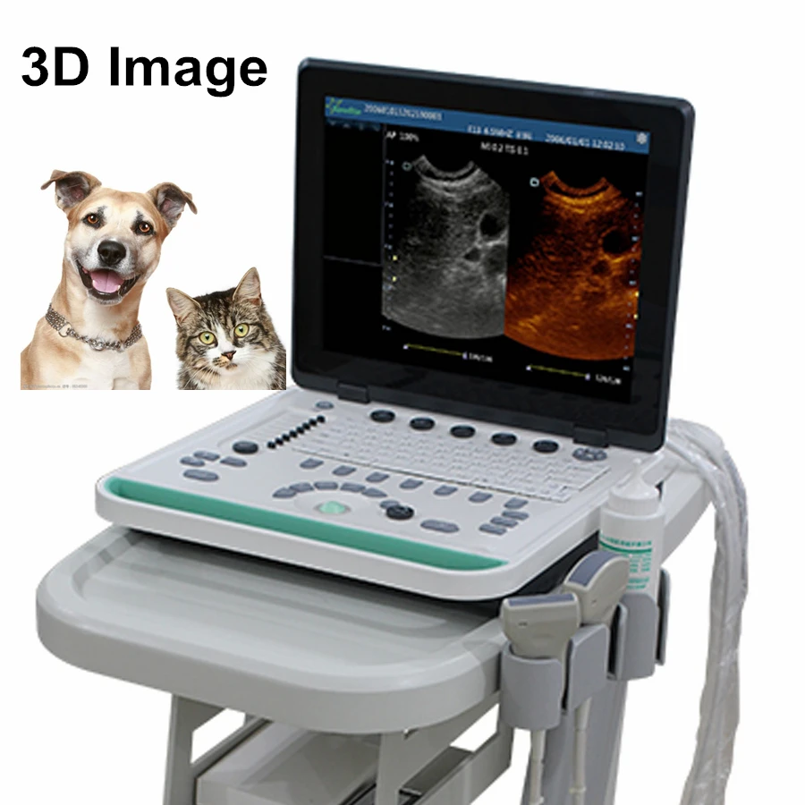 

3D 15in Lcd Animal USG Pig Horse Catlle Cat Dog Sheep Notebook PC Based Veterinary Ultrasound Scanner Machine