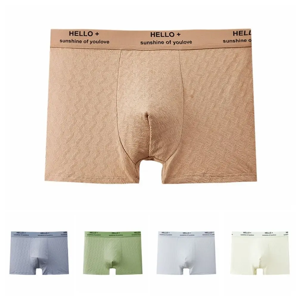 3 個プラスサイズメンズコットンボクサーブリーフ綿シームレスレタープリントパンティー弾性ミッドウエスト下着男性春夏