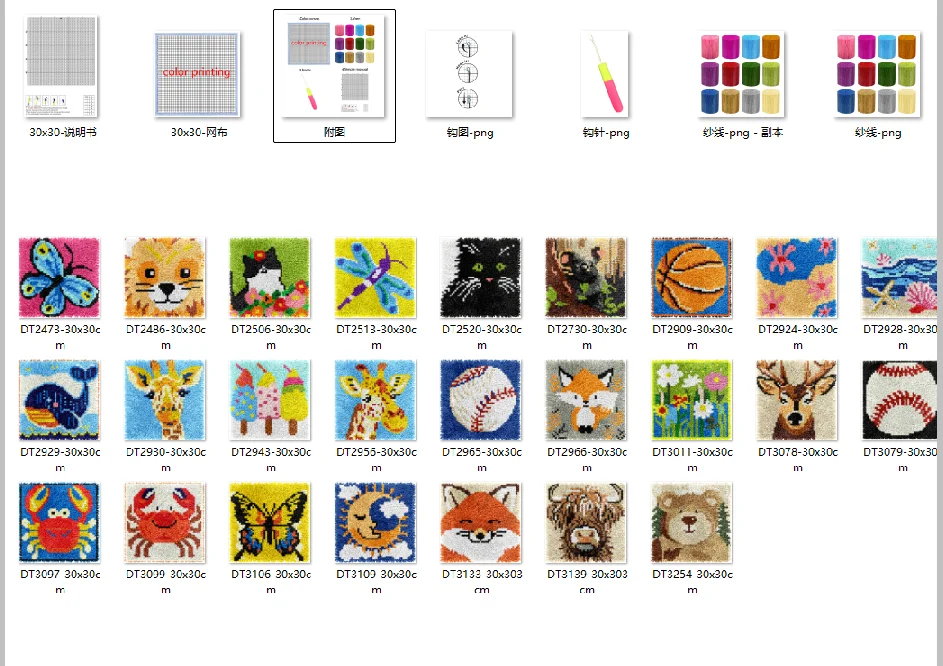 

Creative DIY Carpet Segment Embroidery Latch Hook Rug Kit Handcraft Embroidered Material Package 30-30CM Flowers