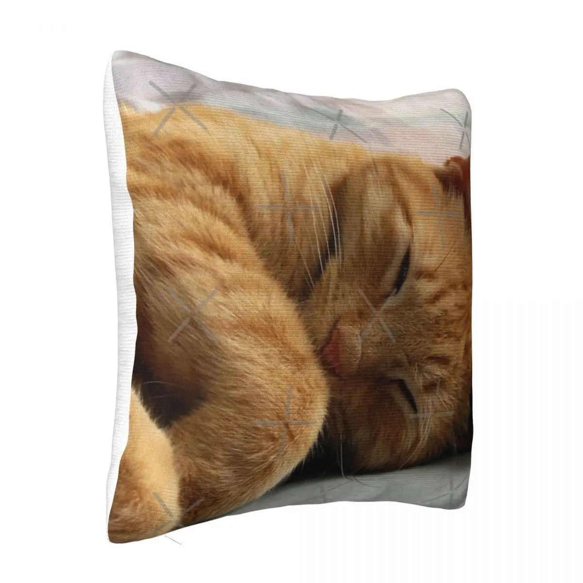 Ginger Cat Sleeping Cushion Pillowcase 40X40 Decoration For Bedroom Pillow Case Pillow Cover