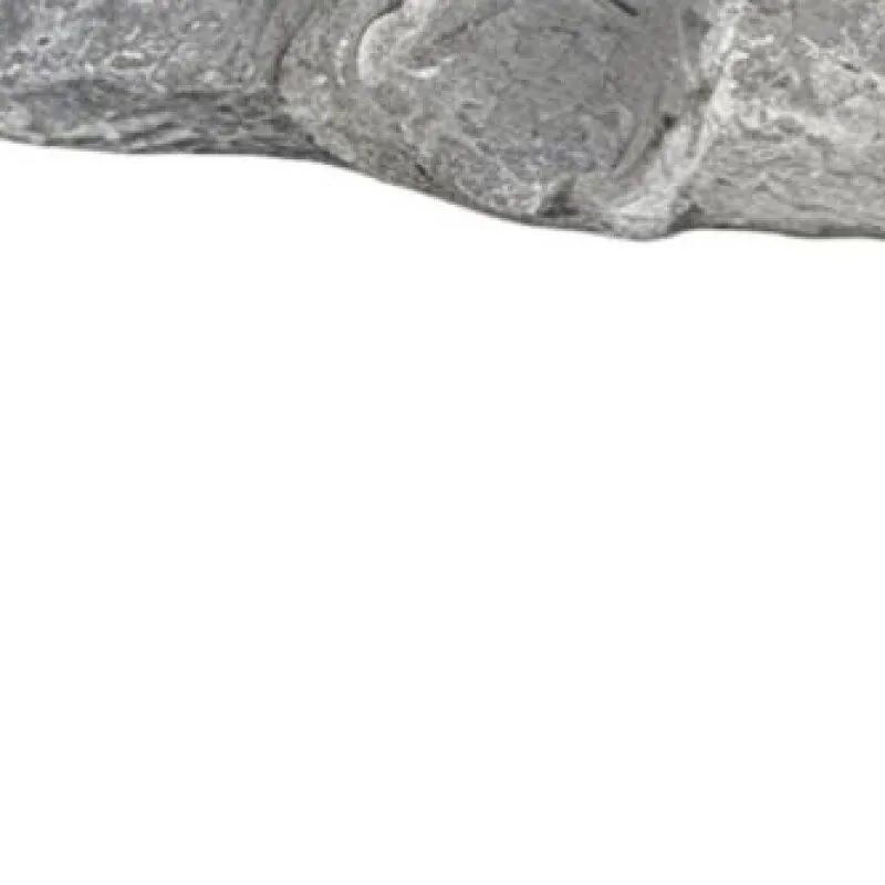 outdoor-hidden-key-storage-rock-looks-feels-like-real-stone-hide-a-key-outside-in-rock-for-outdoor-garden-or-yard-geocaching