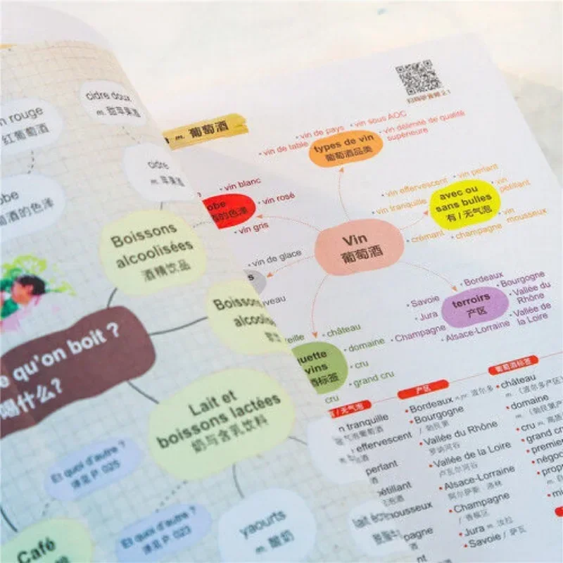 Super Easy To Use Spanish Word Book, Mind Map, Spanish Learning Book, Illustration for Easy Memory