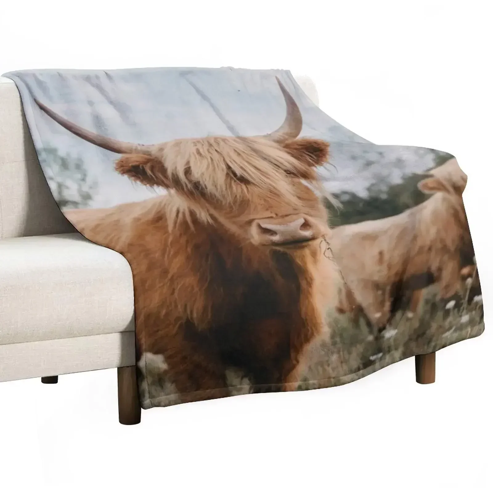 

Curious Highland Cow Throw Blanket Fluffy Cozy Throw Blanket for Home Decor