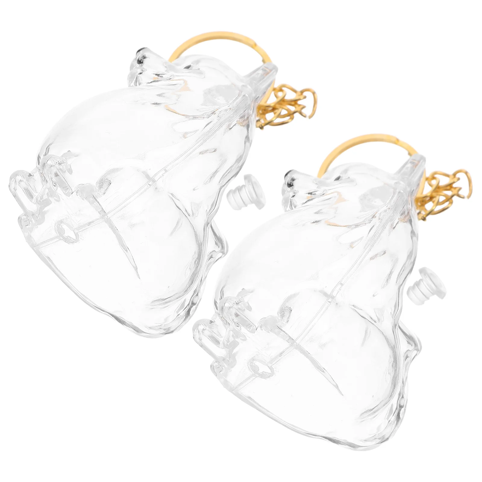 

2Pcs Dog Hair Keepsake Box Transparent Puppy Keychain Design Clear Plastic Bottle for Pet Memorial Storage Portable Dog Hair