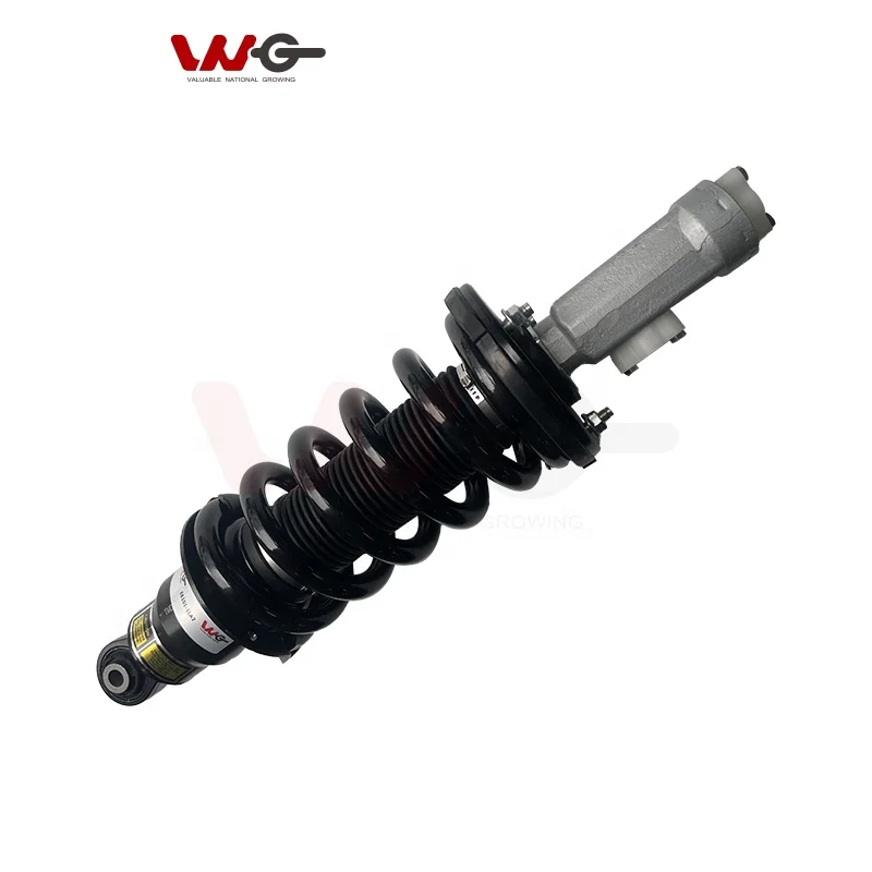 

High Tensile Strength Hydraulic Shock Absorber Assembly Front Left & Right Fit For QX80 Series, Replacement Part E6101-1LA7A