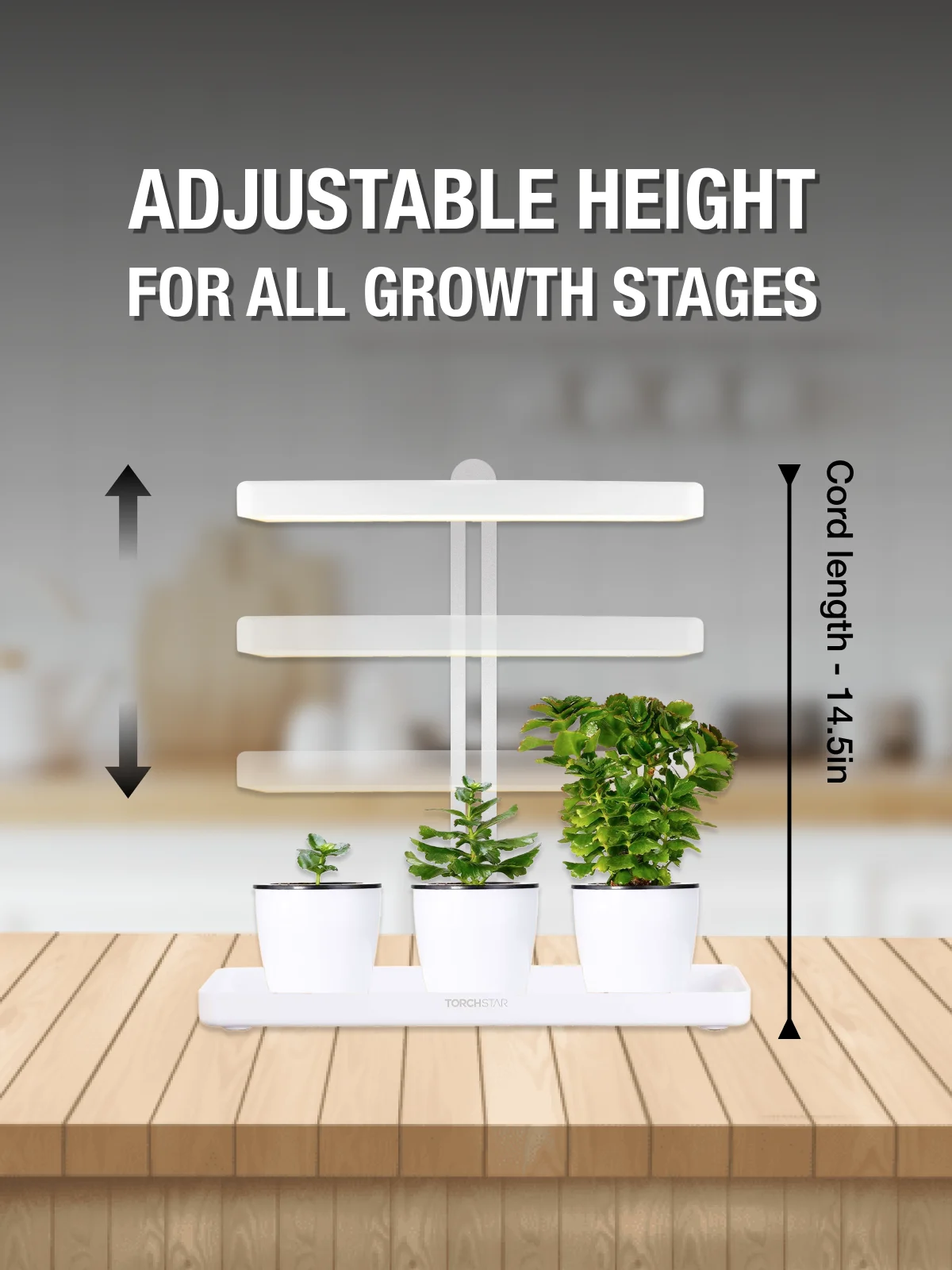 Indoor Garden Kit, Auto-timer Function Grow Light Garden, Height Adjustable CRI 95, Pots & Plants Not Included, Pack of 1