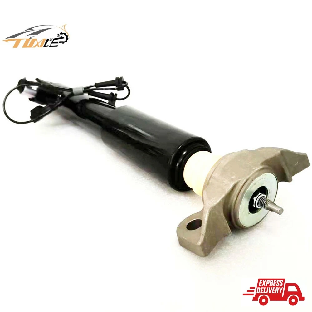 

1Pair Rear Left＆Right Shock Absorber Strut ASSY w/Electric Fit 2016-2018 Lincoln MKX F2GZ18125J AST-24690 AST-24688 ASH-24686-