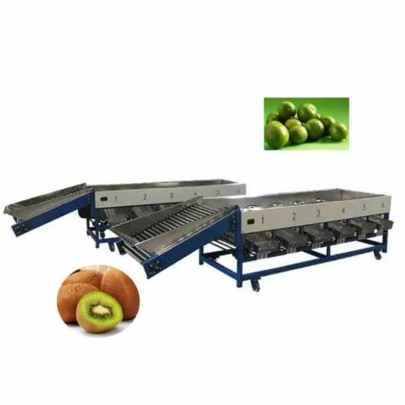 Drum Type Fruit Size Sorting Machine 6 Grades Fruit Grading Sorter With Feeding Conveyor For Farm Processing Customized