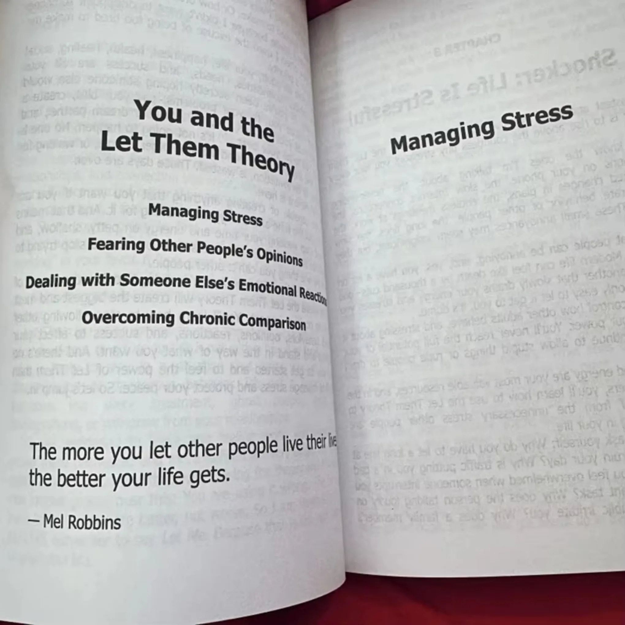 The Let Them Theory Reference Book Exploring the Let Them Concept Fundamental Principles and Real World Applications