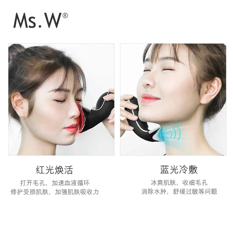 313 Ms.W New Home-Use Anti-Aging Face & Neck Lifting 5 in 1 Skin Care Massager Beauty Tools for Facial Rejuvenation