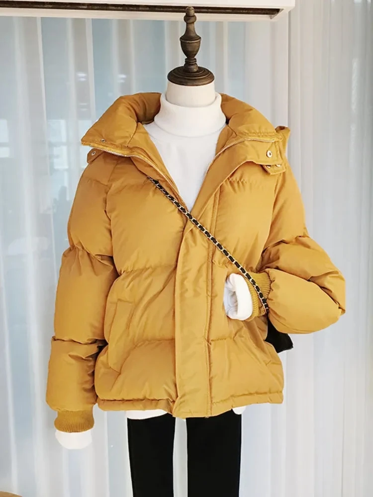 Parka à capuche rembourrée en coton pour femmes, manteau d'hiver, vêtements d'extérieur décontractés, mode, optique, chaud, court, combiné, femme