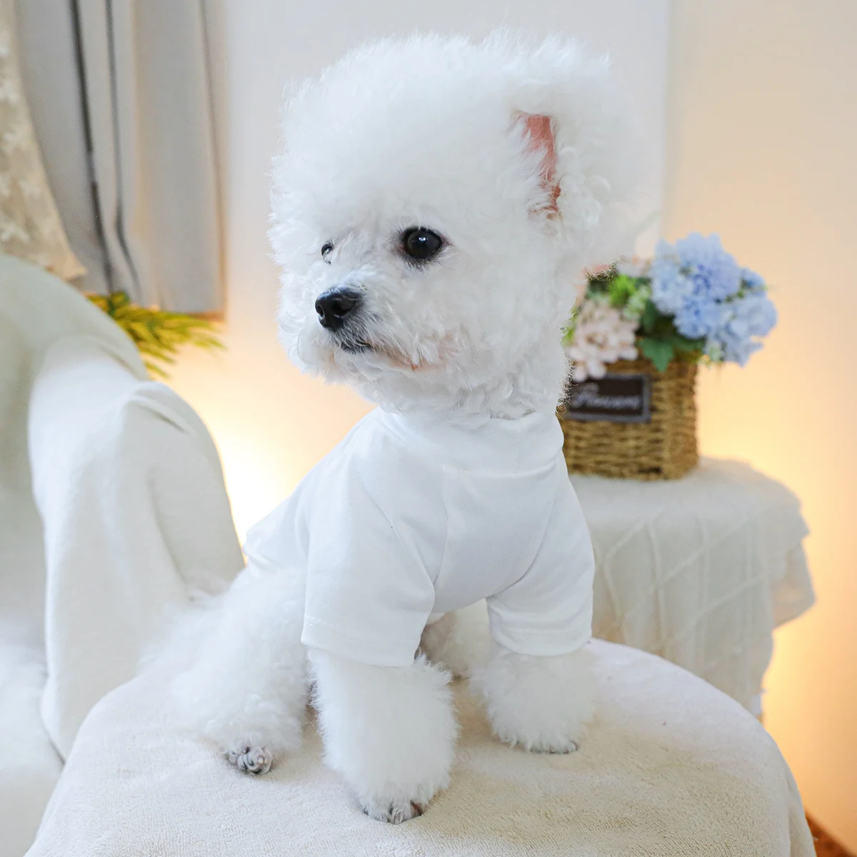 1PC Pet Clothing Cat Spring/Summer Thin Trump White Short Sleeve Hoodie T Suitable for Small and Medium sized Dogs