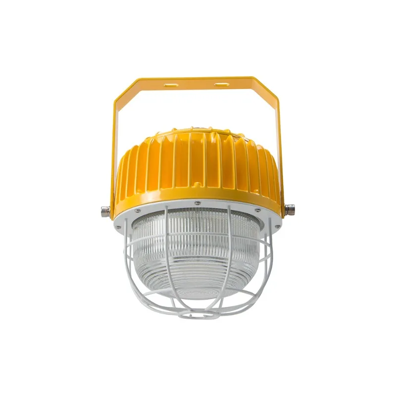 Light Emitting Diode Explosion Proof Professional Explosion Proof Light 40W 60W 80W 100