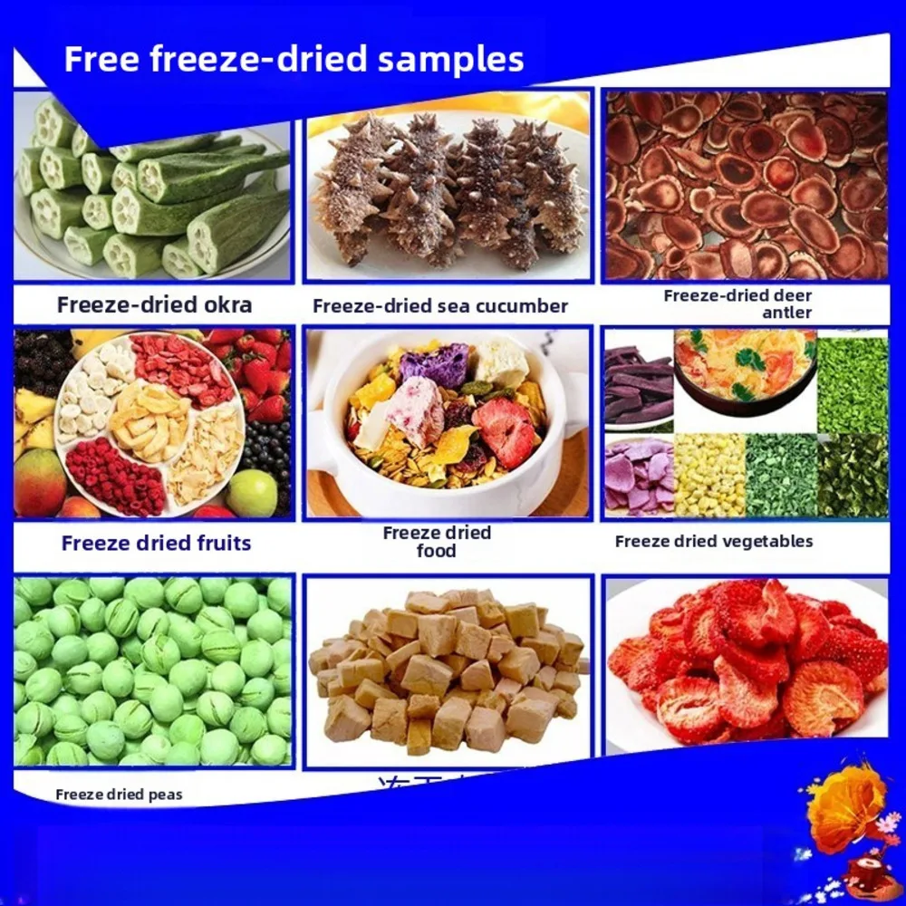 

Vacuum For Food Factory, Dendrobium And Deer Antler Low-Temperature Dryer, Commercial Chinese Herbal Extract Freeze Dryer