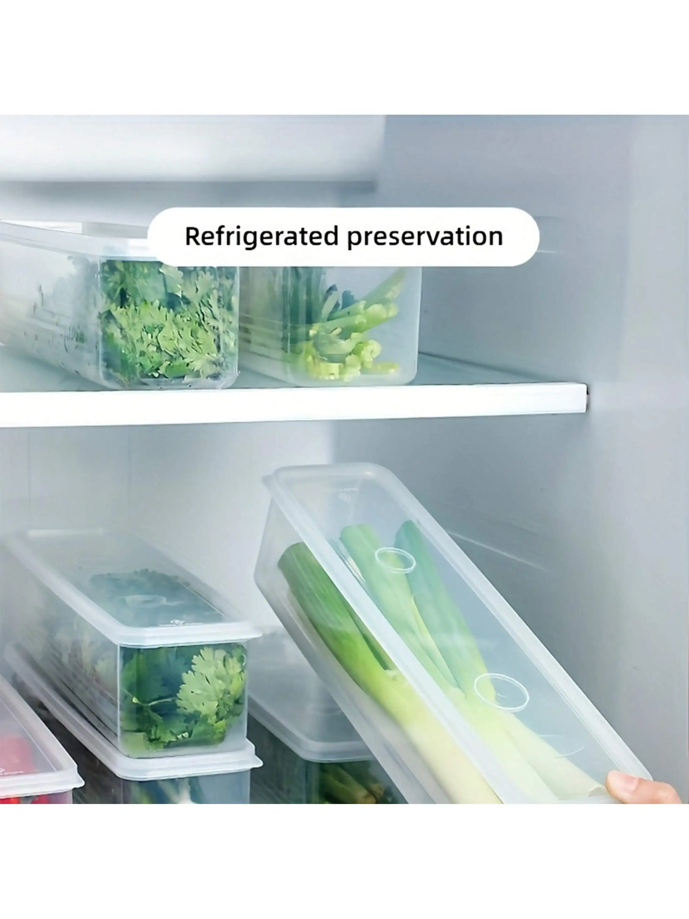 2/4 قطعة حاويات تخزين الطعام المستطيلة، صناديق تنظيم الثلاجة البلاستيكية القابلة لإعادة الاستخدام للبصل الأخضر والبقدونس وسيليانترو #3