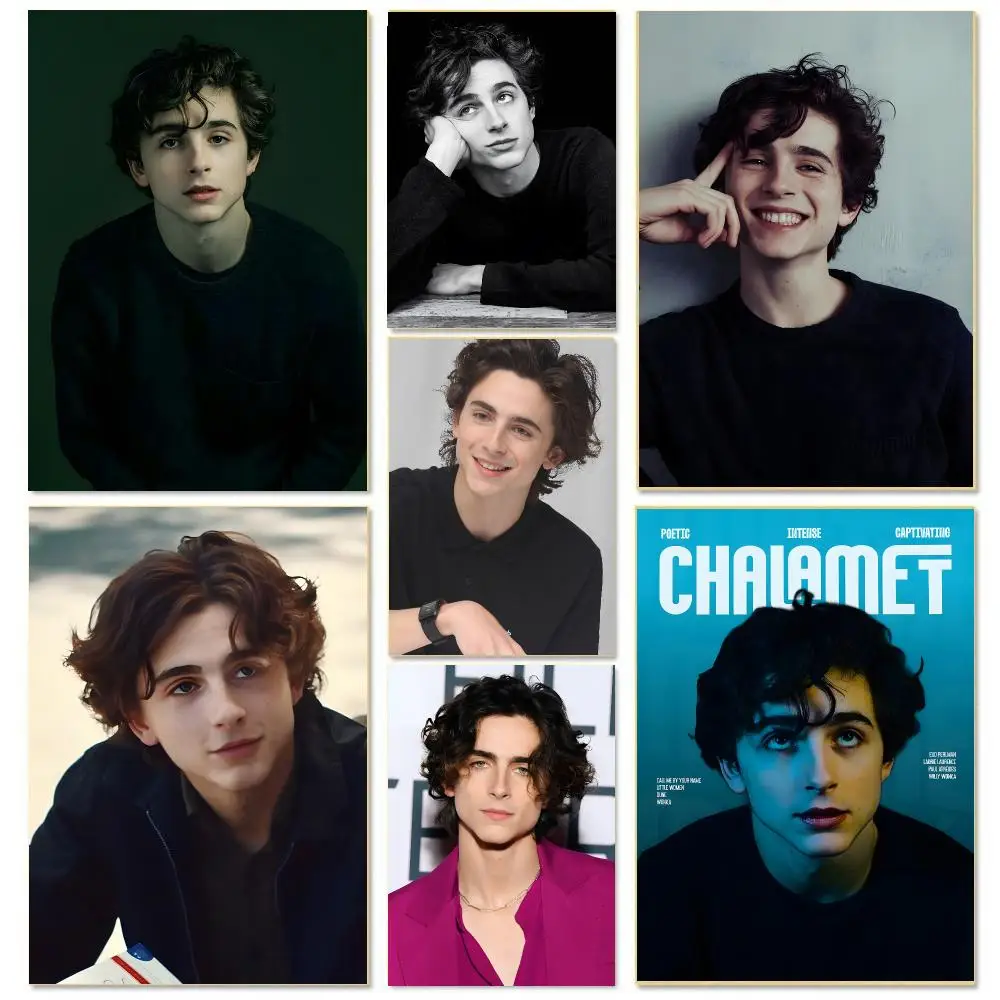 Actor T-Timothee Chalamet Poster HD Waterproof Aesthetic Wall For Home Decor Trendy Durable Easy To Apply Art