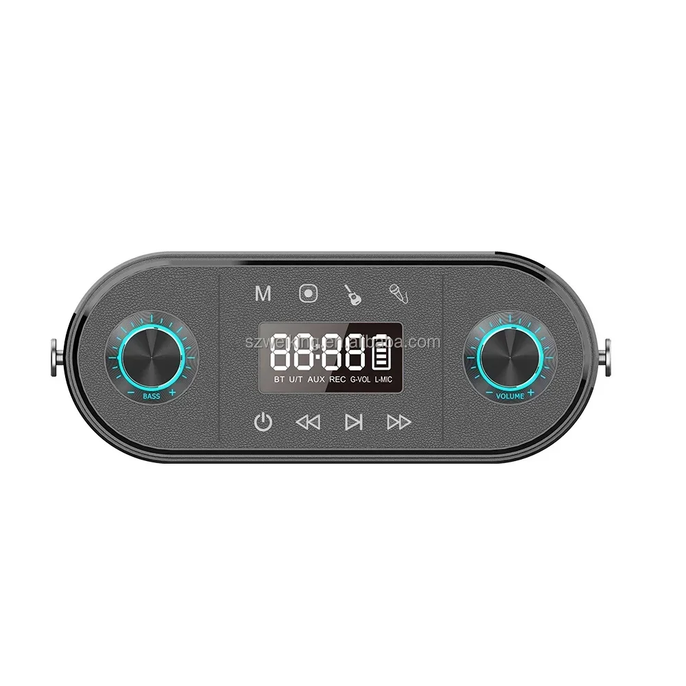 2025 PX6 Carillon con altoparlante Bluetooth wireless impermeabile, per feste ed esterni