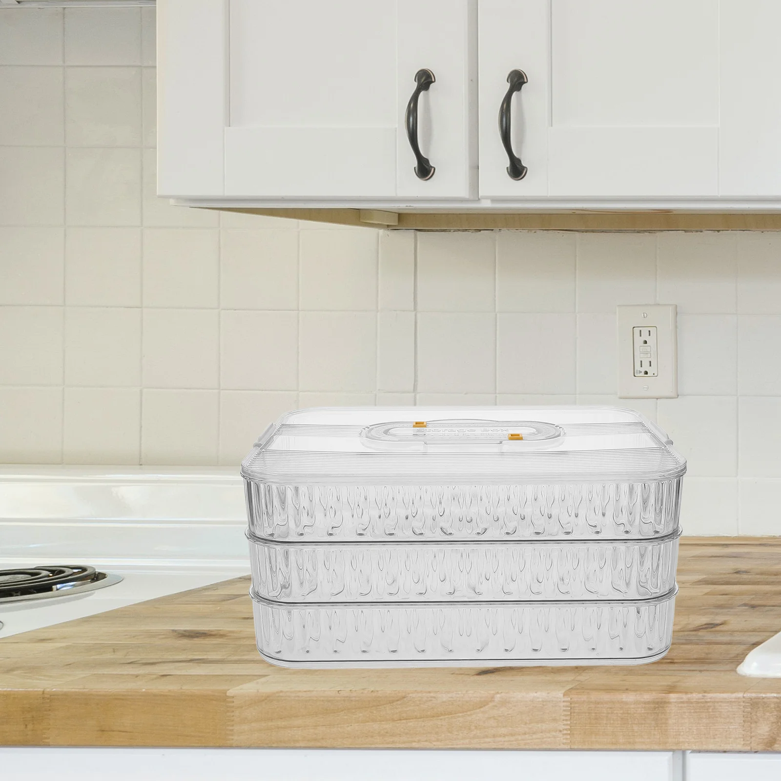 

Refrigerator Meat Container Dumpling Storage Box With Date Lid Compact Sealed Food Preservation Case For Fridge Freezer