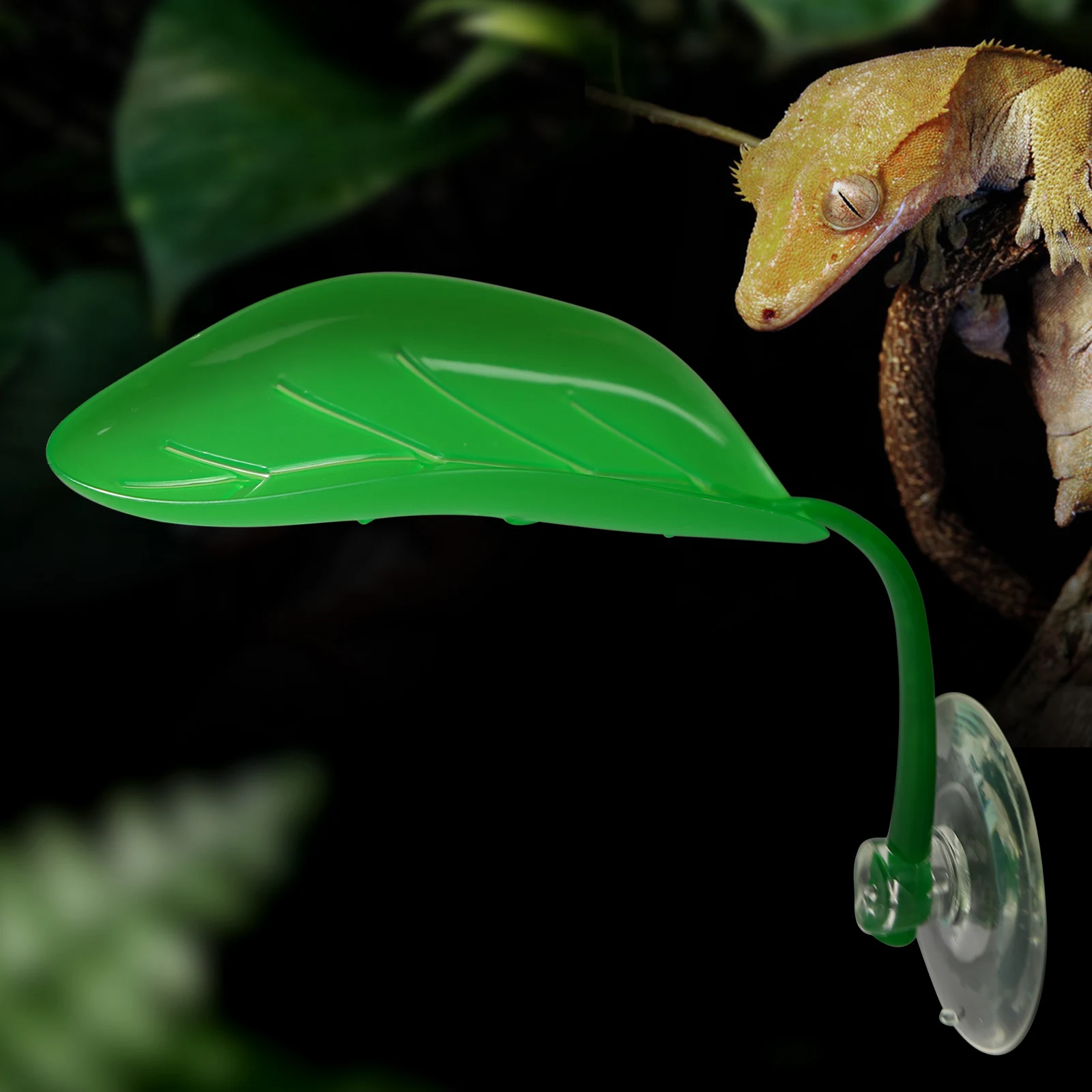 5 قطع، أوراق نباتية مقلدة مع أكواب شفط، مناسبة للجيكو والحرباء والضفادع للتسلق والسكن #5