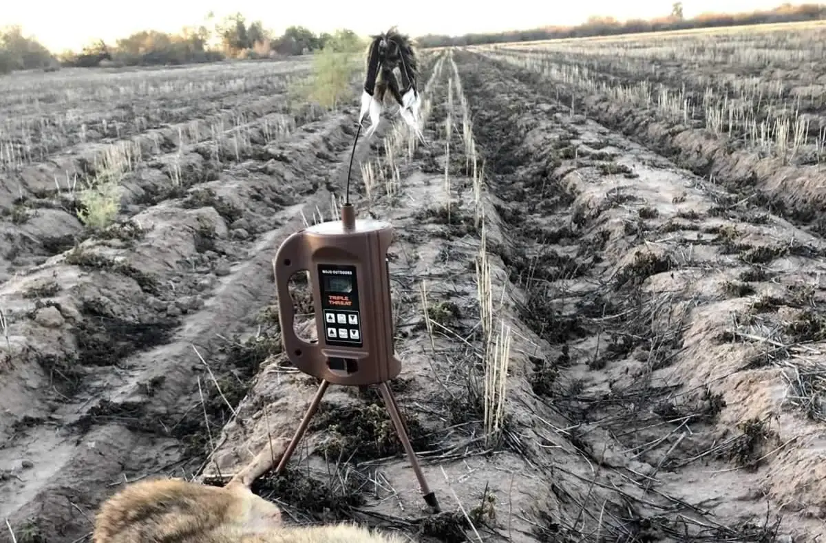 Outdoor Triple Threat E-Caller Predator Coyote Call Decoy 3-częściowy kompletny system przywoławczy do soczystkiego polowania drapieżnika,