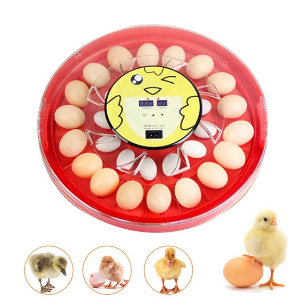 

30 Egg Incubator with Automatic Egg Turning, Mini Digital Incubator for Hatching Chicken Eggs with Humidity and Temperature