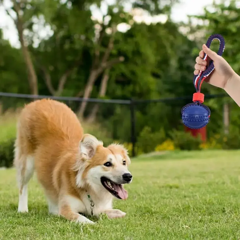 Dog Ball Toy with Rope Interactive Teether with Rope Dog Ball Pet Supplies Chewing Ball Training for Living Room Lake Beach