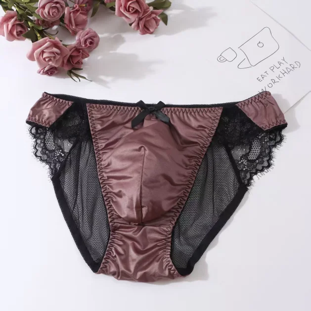 Underwear Man's Hip Sheer Net Mesh Sexy Panties Briefs Lace Hem Bowtie BF Gifts LGBQT Harajuku Private Party DJ Club Bar view 3