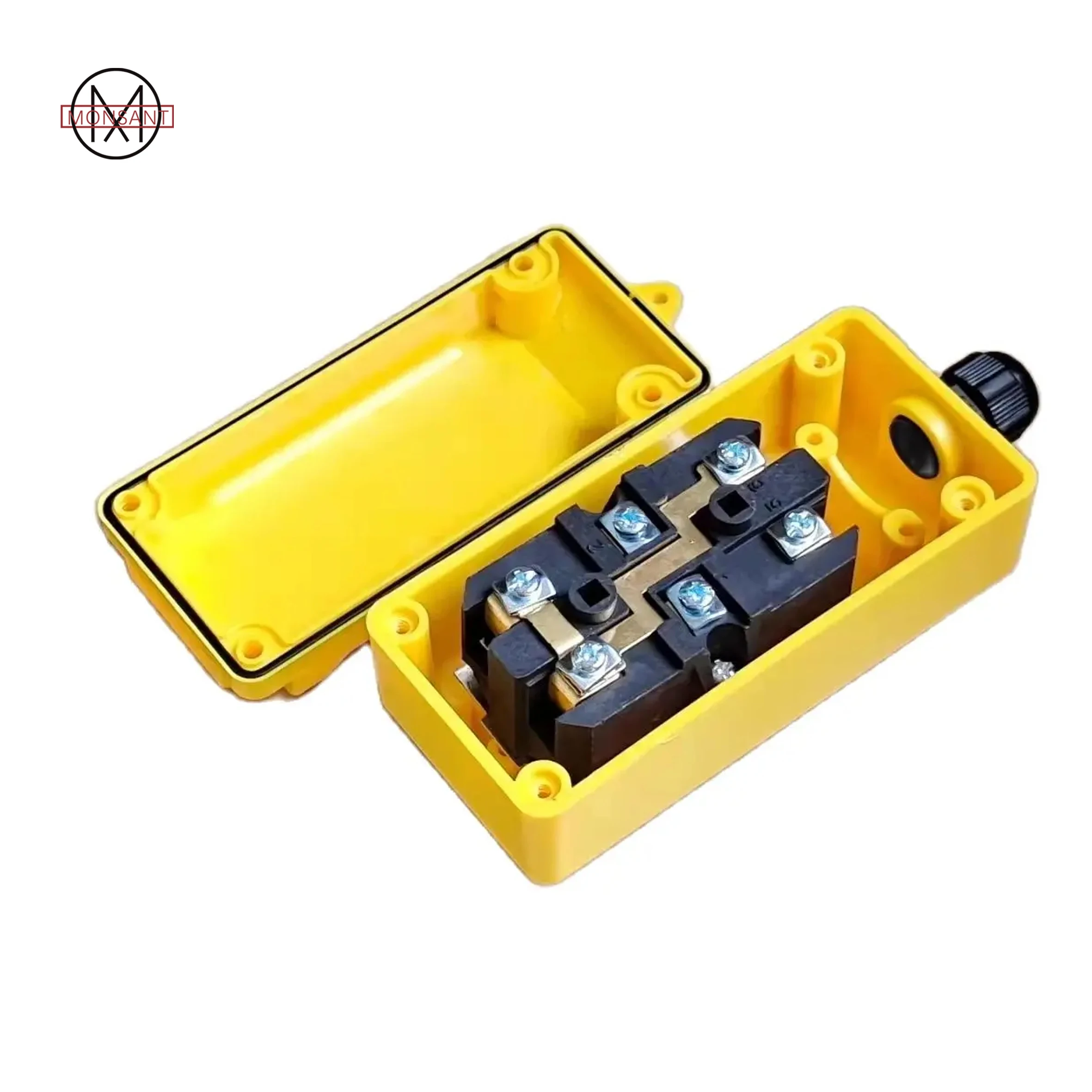 Lift Up and Down Button Switch Directly Control Electric Hoist Lifting Crane Switch COP-21L