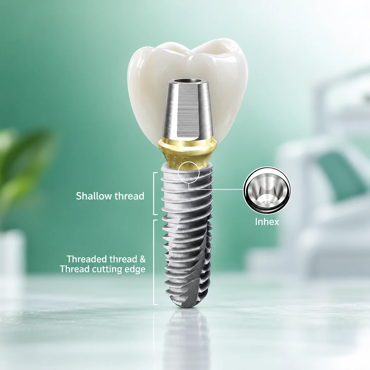 Complete Sizes Dental Implant Oral Implant Screw Implant Analog & Accessories Fine Craftsmanship for Dental Lab Clinic Supplies