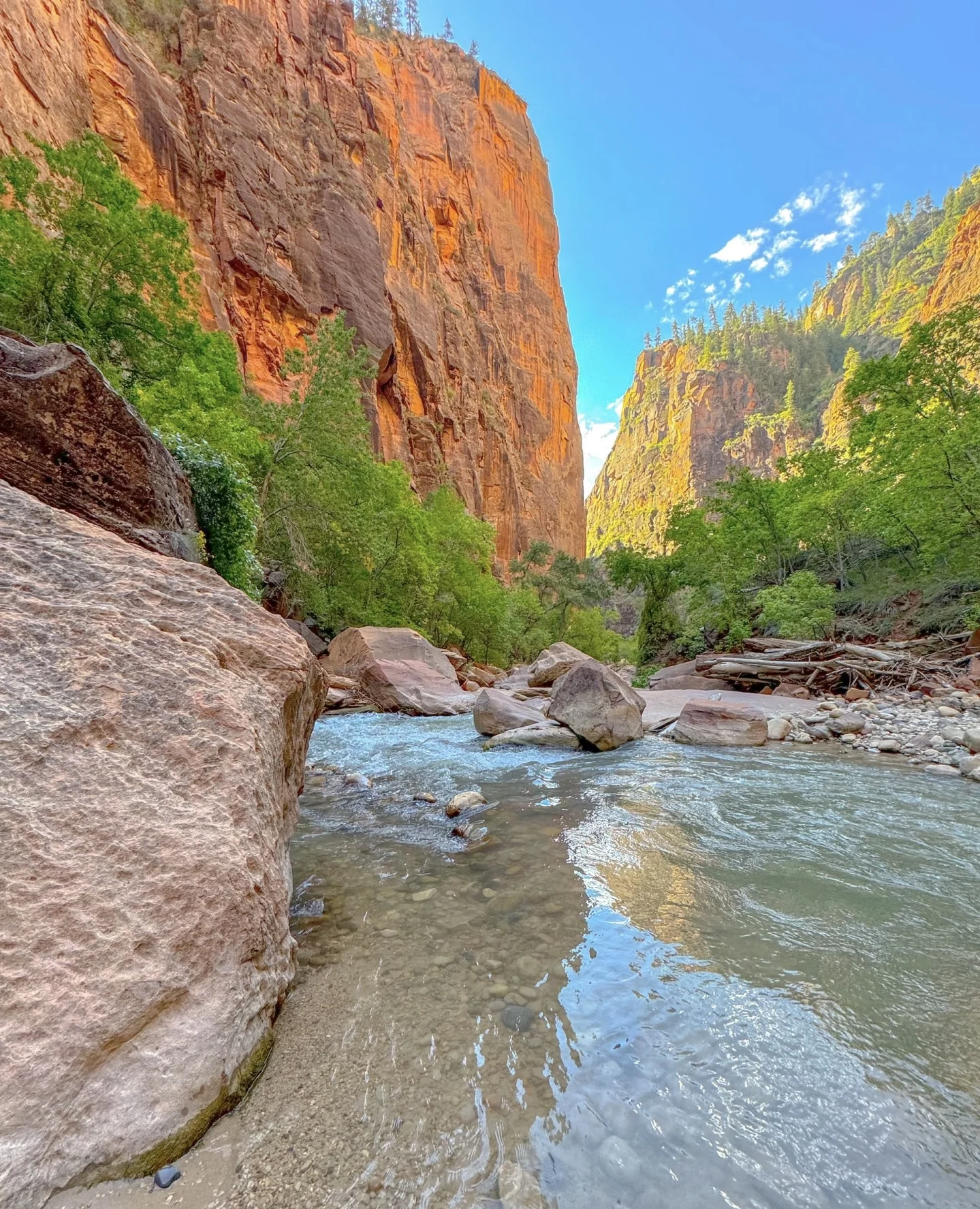 

2025 New 3 in 1 Oxygenation Facial Skin Care Device for Anti Aging Deep Moisturizing Tightening and Rejuvenation