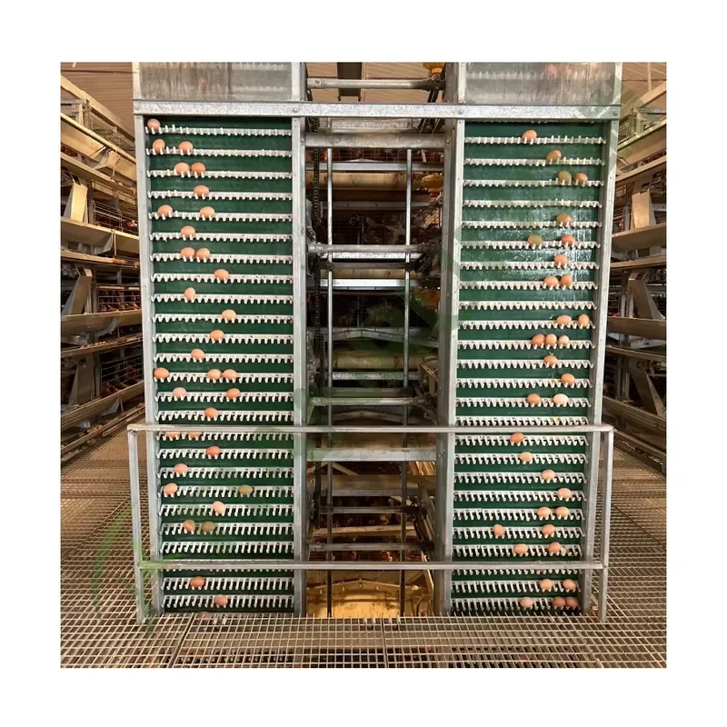 New Automatic Galvanized Modern Battery Design System H Type and A Type for Poultry Farming Layer Chicken Cages