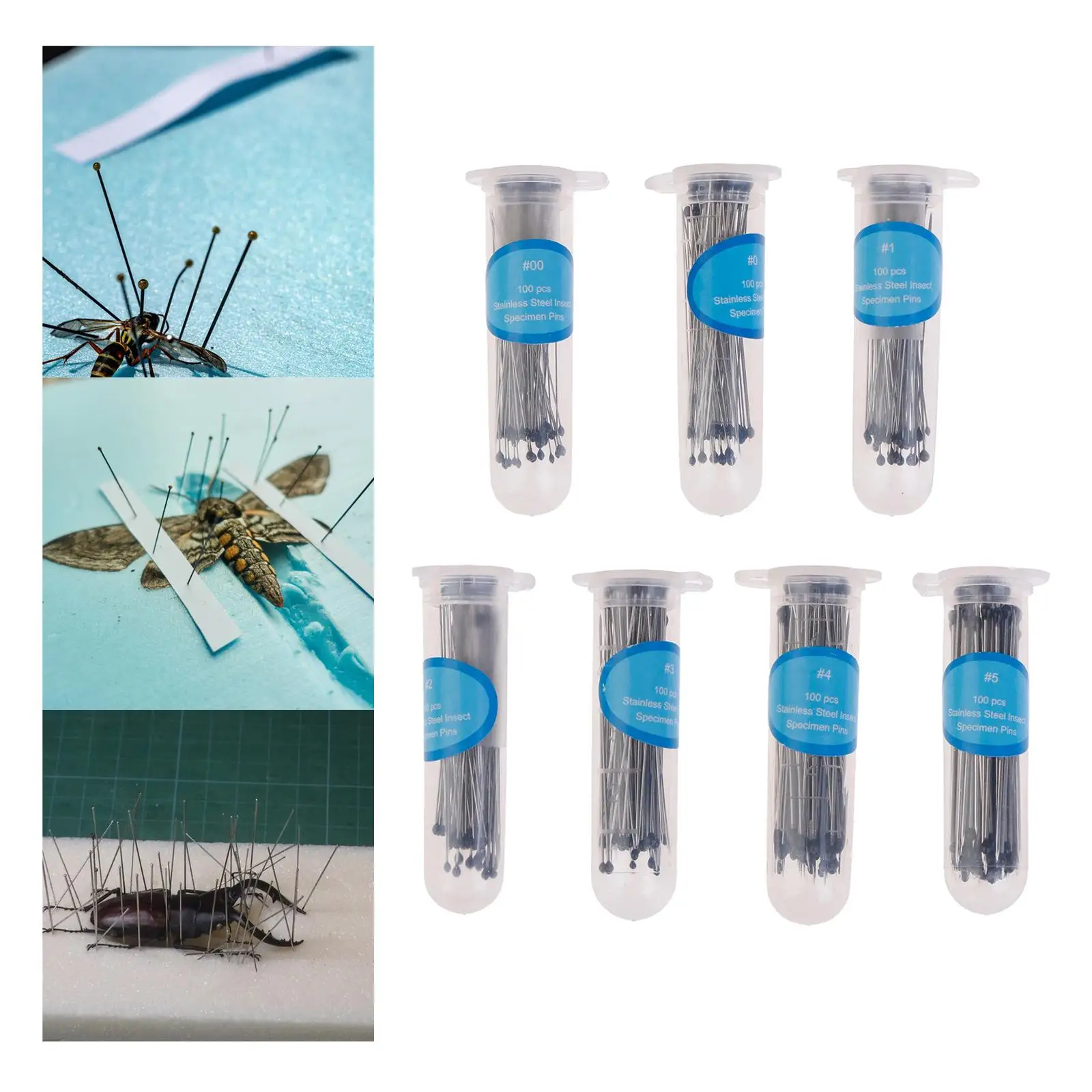 100Pcs Specimen Mounting Pins Entomology Pins Stainless Steel Insect Pins