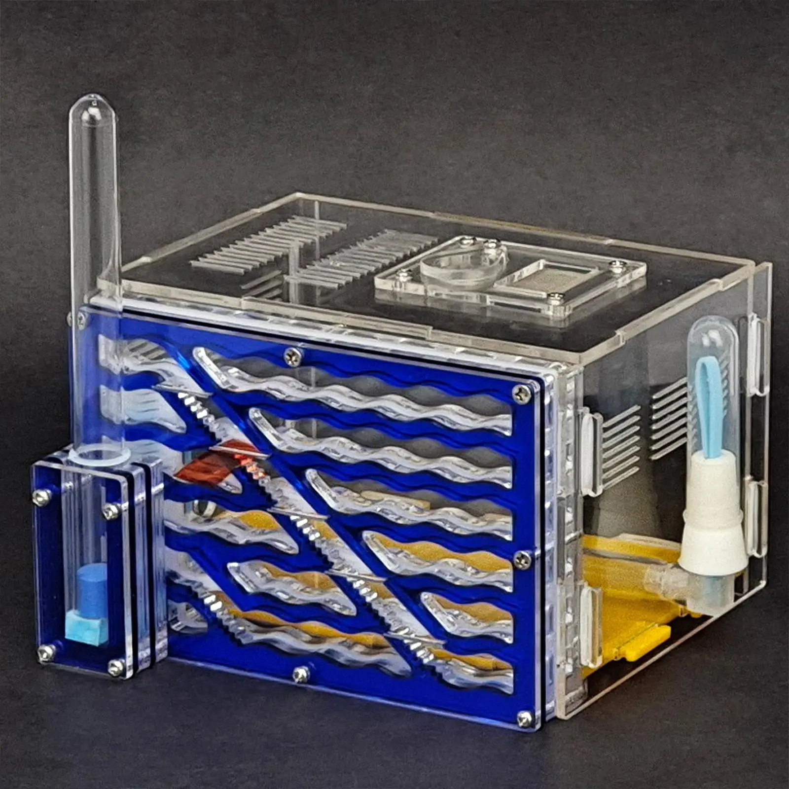 

ANT Housing Nest Прозрачная мастерская ANT Cage для подарка домой детского дня