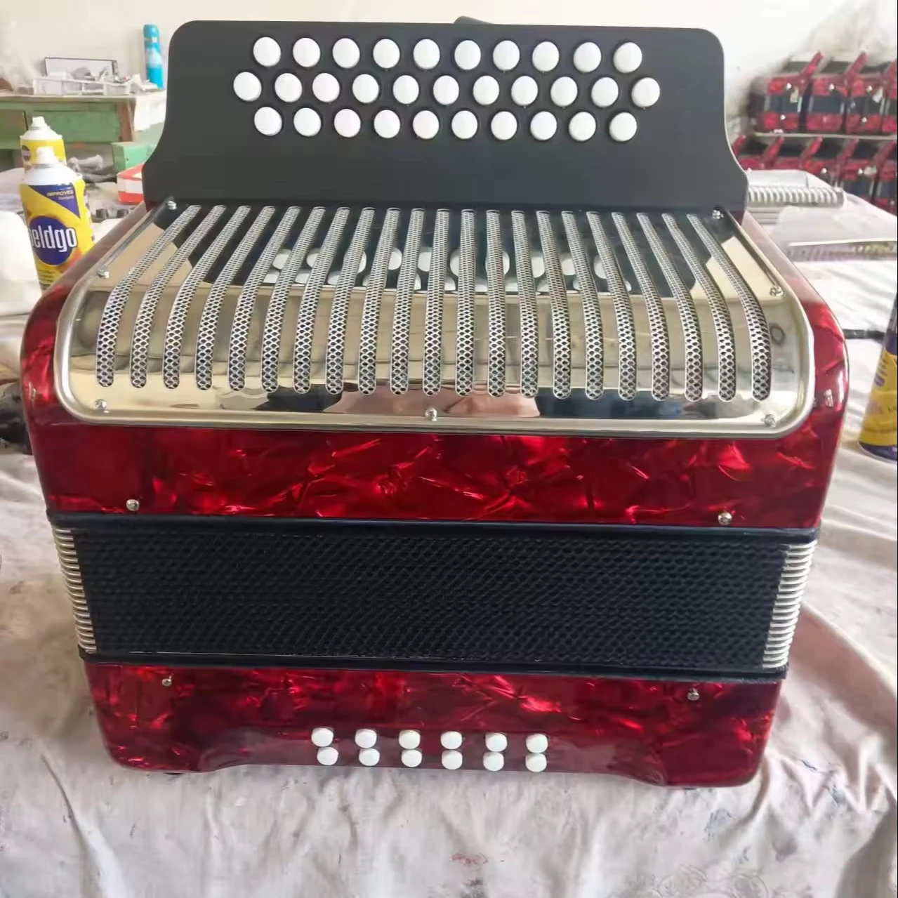 31 key 12 bass, 31 buttons 12 bass button accordion, Bayan Accordions with ABS case