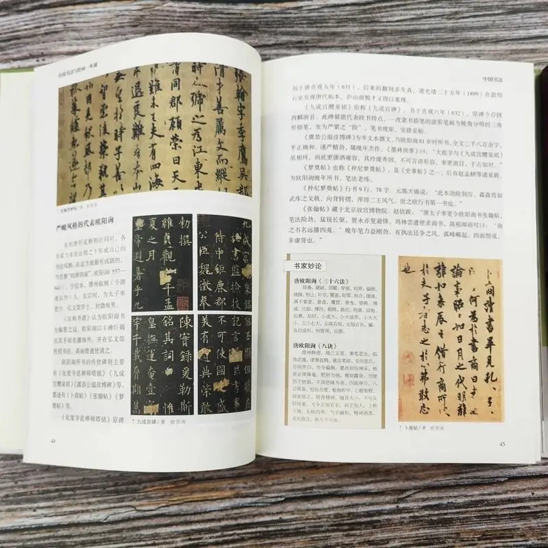 HVV Chinese Calligraphy and Painting: A Comprehensive Version with Zero Foundation Introduction to Traditional Chinese Painting