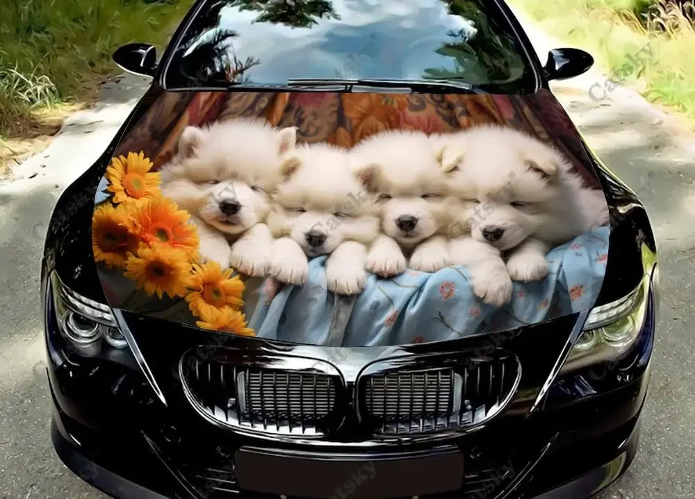 Havanese Adorbale Baby Dog Car Hood Vinyl Stickers Wrap Vinyl Film Engine Cover Decals Sticker on Car Auto Accessories