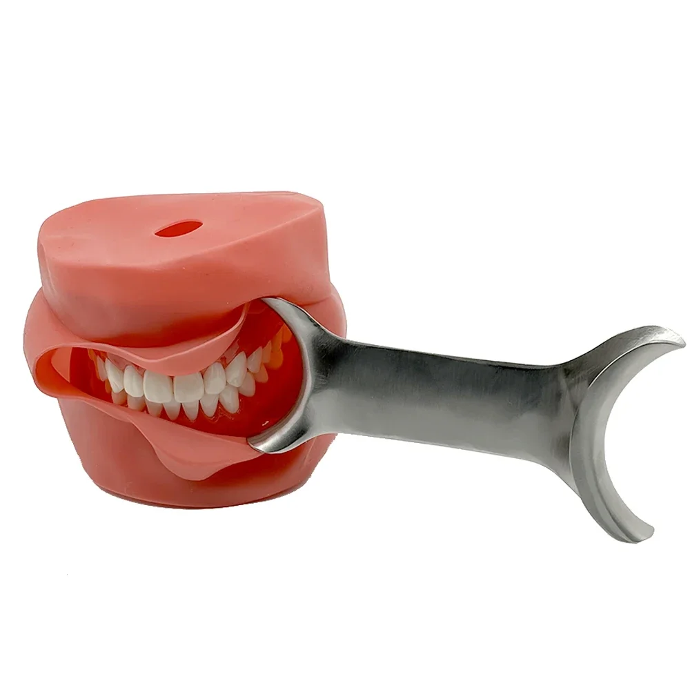 

Dental Stainless Steel T-Shape Intraoral Cheek Lip Retractor Mouth Opener for Oral Surgery Orthodontic Procedures